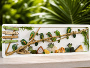 Handmade Genuine Sea Glass Parrot Wall Art, Tropical Coastal Decor, Driftwood & Shell Frame, Beach House Gift, Coastal Art