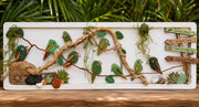 Handmade Genuine Sea Glass Parrot Wall Art, Tropical Coastal Decor, Driftwood & Shell Frame, Beach House Gift, Coastal Art