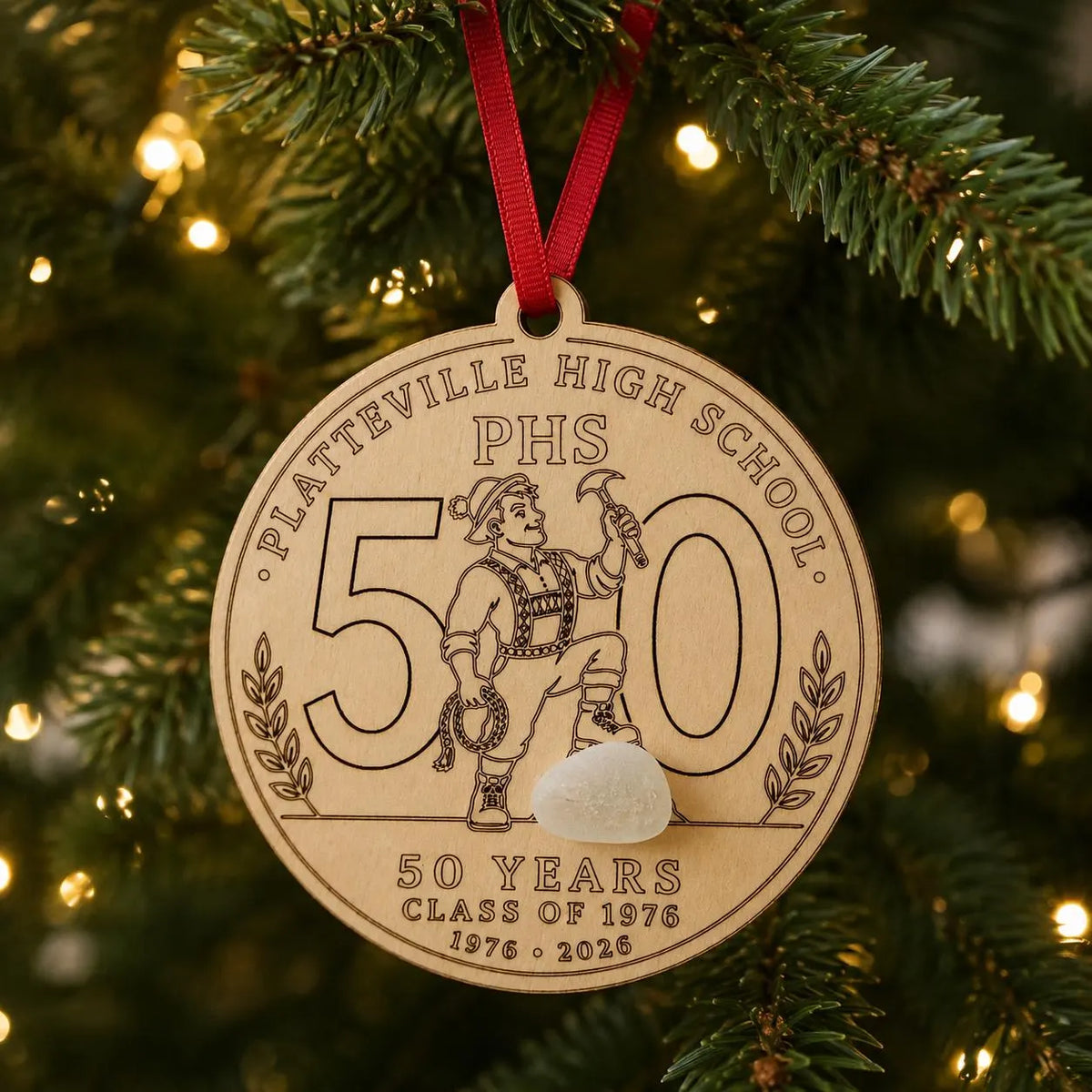 Custom Class Reunion Ornament – Personalized School & Alumni Keepsake – 5th, 10th, 25th, 40th, 50th Reunion Gift