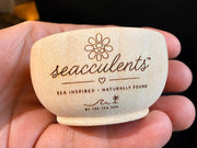 Tidal Falls™ Large Coastal Fiber Art, Mixed Media Wall Hanging | Driftwood Macrame with Shells | One of a Kind Beach House Decor