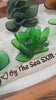 Etsy video 4321352879-2 | SeacculentsT Authentic Caribbean Sea Glass Succulent in Engraved Wooden Pot | Coastal Desk Decor | Beach House Gift | Saint Martin Sea Glass
