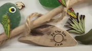 Etsy video 4545628587-2 | Handmade Genuine Sea Glass Parrot Wall Art, Tropical Coastal Decor, Driftwood & Shell Frame, Beach House Gift, Coastal Art