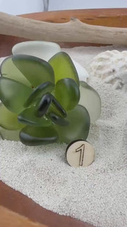 Mini Seacculents™ – Green Coastal Succulent in Engraved Wood Pot, Beach House Decor, Unique Genuine Sea Glass